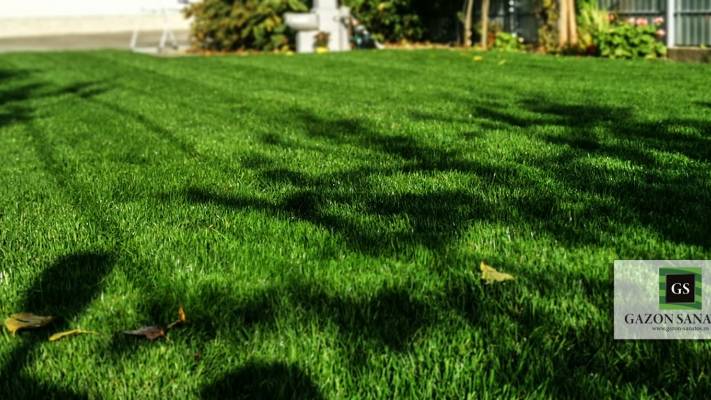 Montaj Rulou Gazon Arad